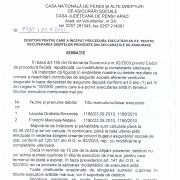 Somatie Noiembrie 2010